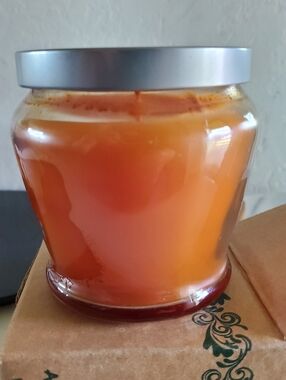 Orange Vanilla Designer Candle 12.5 oz Burn time 65 hours Home Interiors New